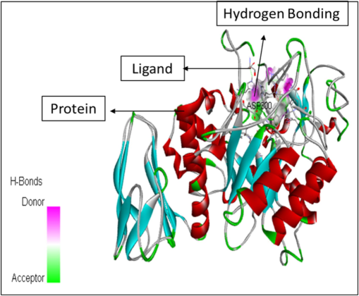 The figure represents the molecular docking between the ligand 9,12,Octadecanoic acid (Z,Z)-methyl ester and 1HNY.