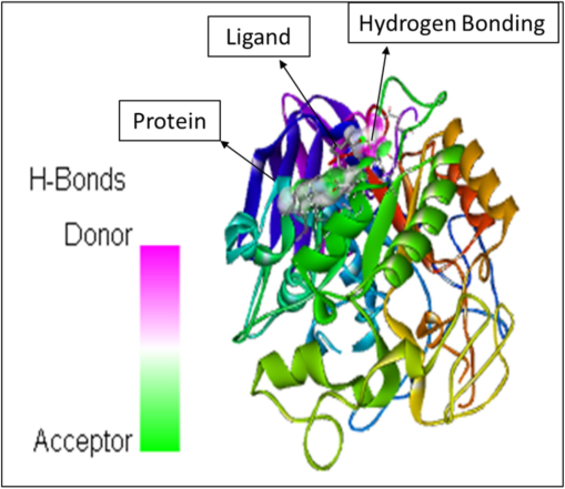 The molecular docking between 9,12,15, Octadecanoic acid, methyl ester and 1HNY.