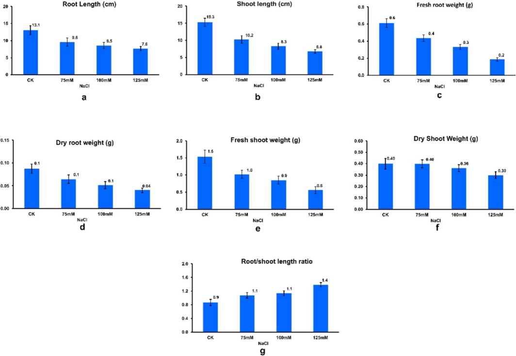 Effect of salt stress on a. soybean seedling root length (cm), b. shoot length (cm), c. fresh root weight (g), d. dry root weight (g), e. fresh shoot weight (g), f. dry shoot weight (g), g. root/shoot ratio.