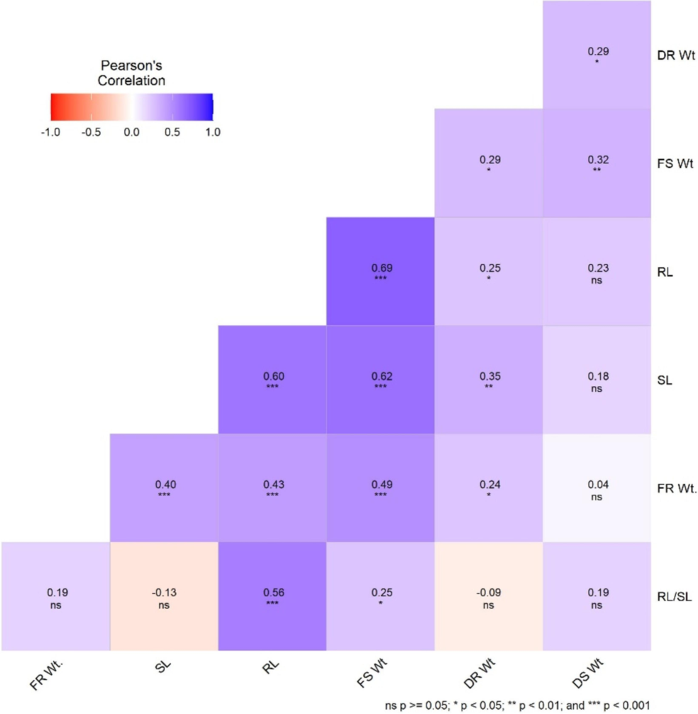 Correlation between morpho-physiological traits under salt stress.