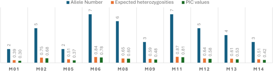 Allele Number, expected heterozygosity, and PIC values estimated for each of the genotyped SSR locus.