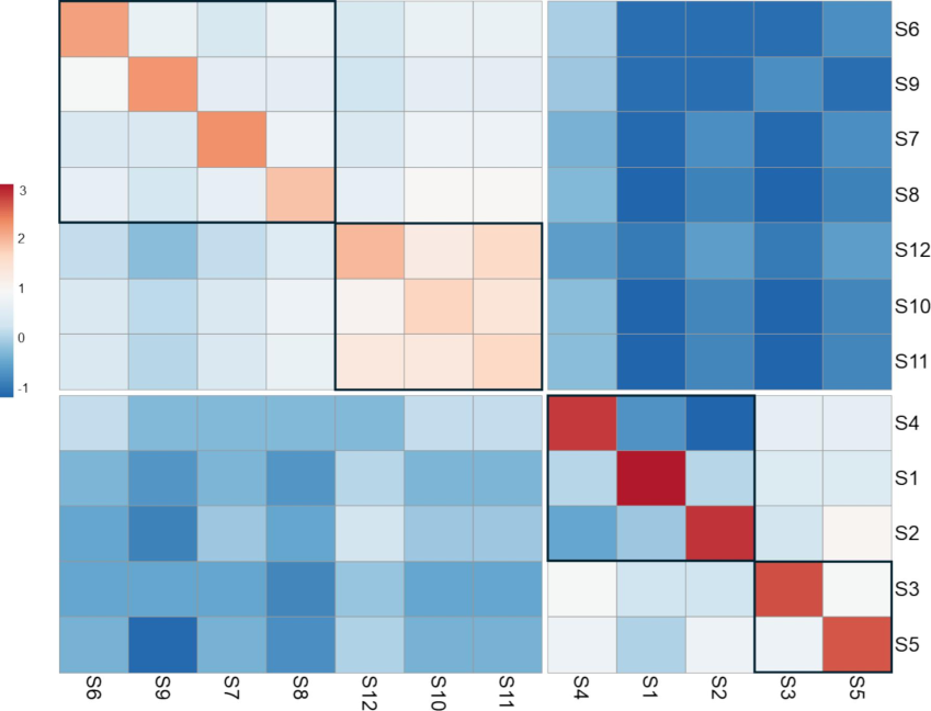 Correlation heatmap based on allele sharing matrix among the 12 mango cultivars. Subclusters are boxed.