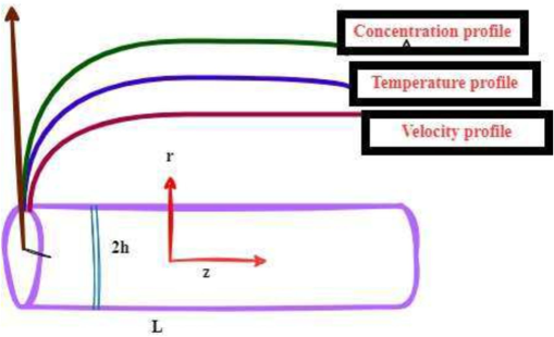 Schematic diagram for horizontal diagram