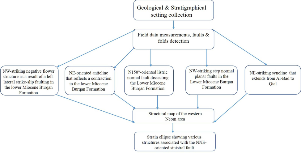 Flow chart showing the approach of the present study.