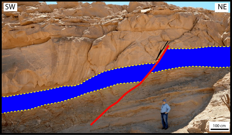 Field photograph showing N150°-oriented listric normal fault dissecting the Lower Miocene Burqan Formation, Maqna area. Figure 1 shows the location of this photograph.