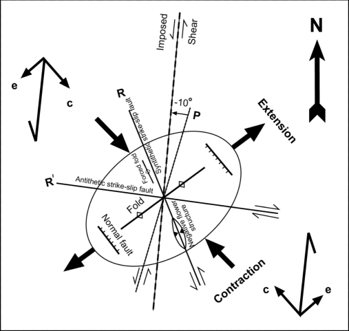 Strain ellipse showing various structures associated with the NNE-oriented sinistral fault. R and Rʹ represent the Riedel system, P is P-shear, c is the contractional vector, and e is the extensional vector.