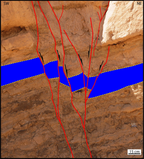 Field photo showing NW-striking negative flower structure as a result of a left-lateral strike-slip faulting in the lower Miocene Burqan Formation, south of Maqna area. The dip-slip movement of the faults reflects extension by normal faults. The faults are filled with gypsum. The blue pen in the middle of the photo is for scale.