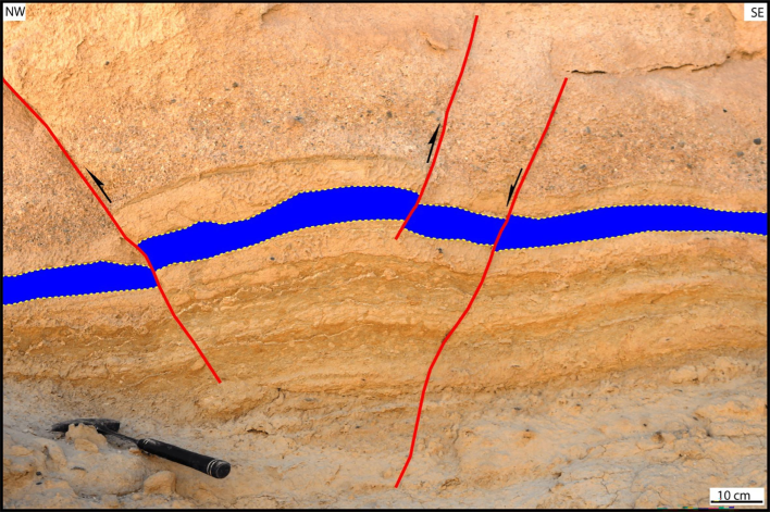 Field photograph showing a NE-oriented anticline that reflects a contraction in the lower Miocene Burqan Formation, south of Maqna area. A NE-striking reverse fault dissects the northwestern limb of the fold.