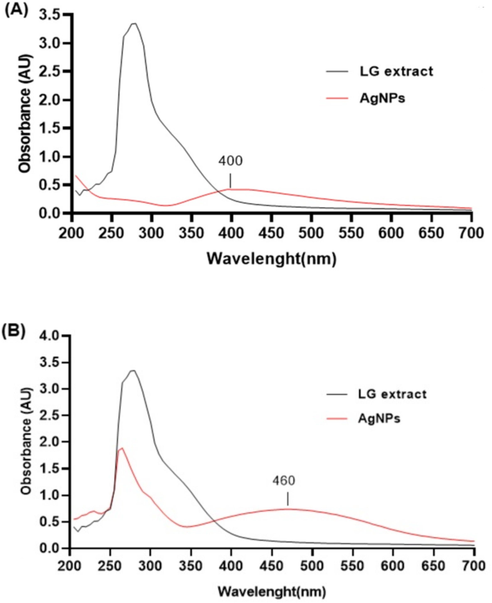 Ultraviolet–visible spectroscopic analysis of C. citratus silver nanoparticles: (A) spectrum of silver nanoparticles synthesized from C. citratus leaf extract; (B) spectrum of silver nanoparticles synthesized from C. citratus flower extract.