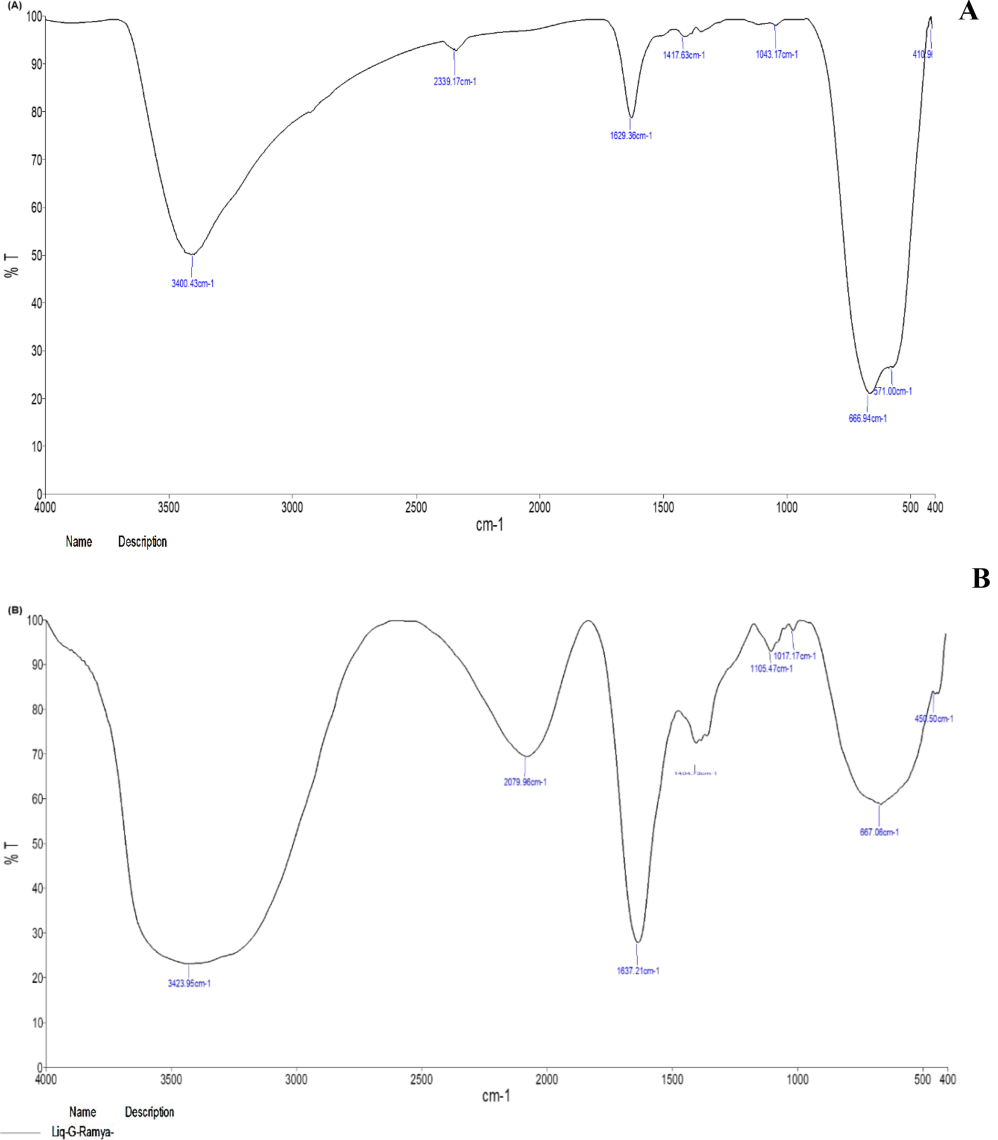 FTIR spectral analysis of C. citratus leaf and flower ethanolic extracts and synthesized AgNPs; (A) C. citratus leaf extract; (B) C. citratus flower extract; (C) C. citratus leaf extract–silver nanoparticles; (D) C. citratus flower extract–silver nanoparticles.