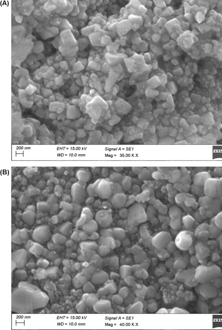 SEM analysis; (A) representative images of silver nanoparticles- C. citratus leaves extract; (B) representative images of silver nanoparticles-C. citratus flower extract.