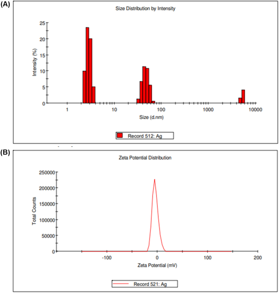 Zeta potential analysis of C. citratus flower ethanolic extract–AgNPs; (A) Particle size distribution of C. citratus flower extract–silver nanoparticles; (B) Zeta potential analysis of C. citratus flower extract–silver nanoparticles.