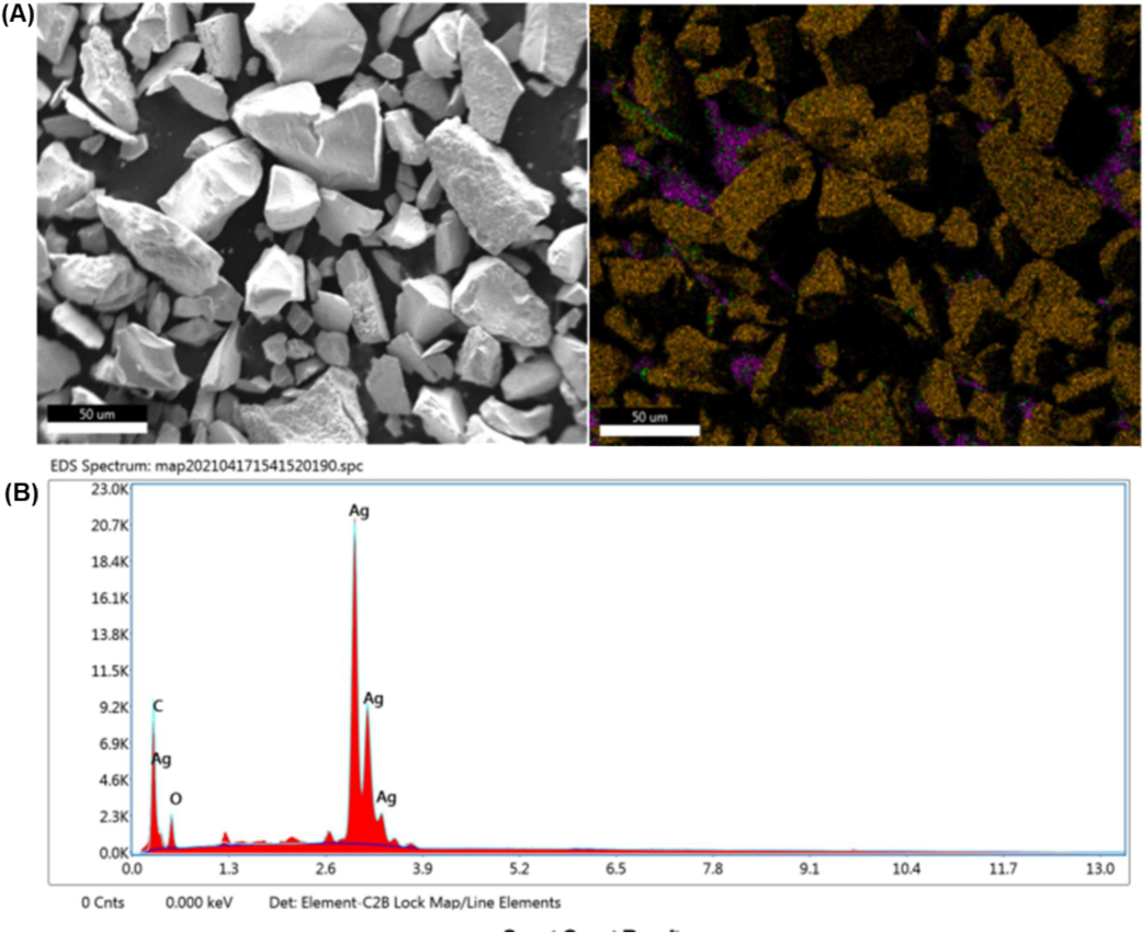 SEM with 3D-EDX analysis of C. citratus flower extract–silver nanoparticles; (A) SEM 3D crystallography image; (B) elemental distribution of C. citratus flower extract–silver nanoparticles.