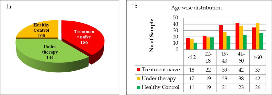 (a) Number and proportion of population enrolled. The demography consisted of 300 were TB positive individuals (156 treatment naïve and 144 under therapy) and 100 were healthy controls, (b) The age wise classification of TB positive patients and control groups.