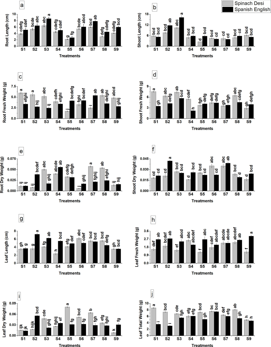 Impact of glutamic acid treatment on (a) root length, (b) shoot length, (c) fresh root weight, (d) fresh shoot weight, (e) dry root weight, (f) dry shoot weight, (g) leaf length, (h) fresh leaf weight, (i) dry leaf weight, and (j) total leaf weight of spinach olive plants under cadmium stress. Values are presented as mean ± SE. Bars with distinct letters denote significant differences at p ≤ 0.05. S1: Control, S2: Glutamic Acid 0.5 mM, S3: Glutamic Acid 0.75 mM, S4: Cd 250 µM, S5: Cd 500 µM, S6: Cd 250 µM + Glutamic Acid 0.5 mM, S7: Cd 250 µM + Glutamic Acid 0.75 mM, S8: Cd 500 µM + Glutamic Acid 0.5 mM, S9: Cd 500 µM + Glutamic Acid 0.75 mM.