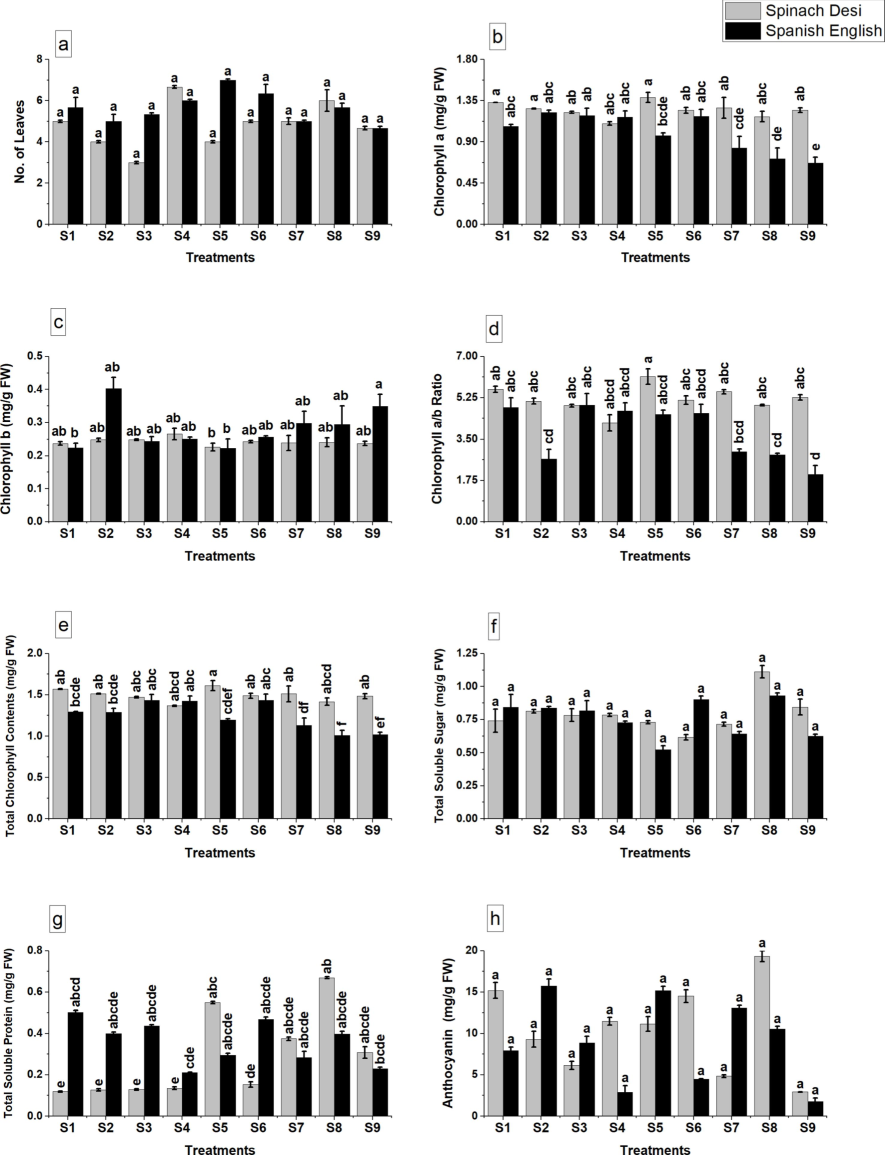 Effect of application of glutamic acid on a: no. of leaves, b: chlorophyll a, c: chlorophyll b, d: chlorophyll a/b ratio, e: total chlorophyll contents, f: total soluble sugar, g: total soluble protein, h: anthocyanin of olive plants under Cd stress. Data are mean value ± SE. Bars with different letters are significantly different at p ≤ 0.05 level.