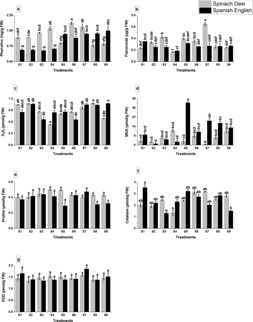 Effect of application of glutamic acid on a: phenolics, b: flavonoids, c: hydrogen peroxide, d: MDA, e: proline, f: catalase, g: POD of olive plants under Cd stress. Data are mean value ± SE. Bars with different letters are significantly different at p ≤ 0.05 level.