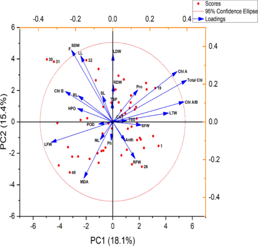 Principal components analysis (PCA) showing the relationship of various parameters of olive plant grown under treatment of glutamic acid and Cd stress. Variables (olive plants' traits) used for the PCA are displayed with their vector.