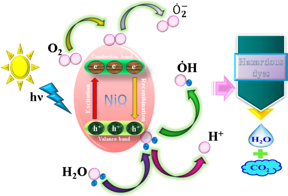 Schematic diagram of the plausible mechanism of dye degradation over the NiO nano-catalyst.