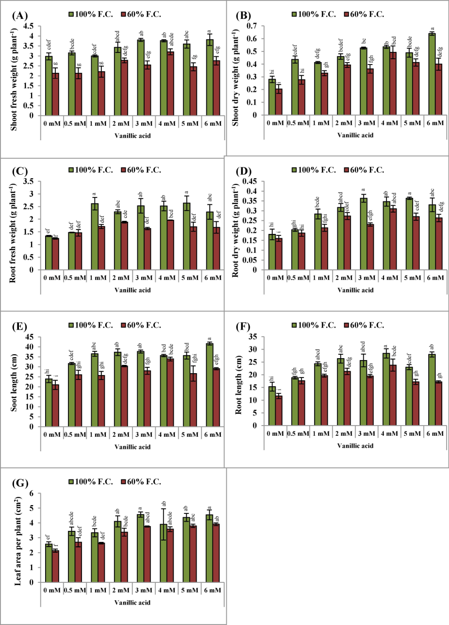 (A-G): Shoot and root fresh and dry weights, shoot and root lengths and leaf area per plant (Mean ± S.E.; n = 4) of pea (Pisum sativum L.) plants raised from seeds treated with varyings levels of vinillic acid and subjected to control (100 % field capacity) and drought stress (60 % field capacity). Different letters (a-i) showing difference among treatments.