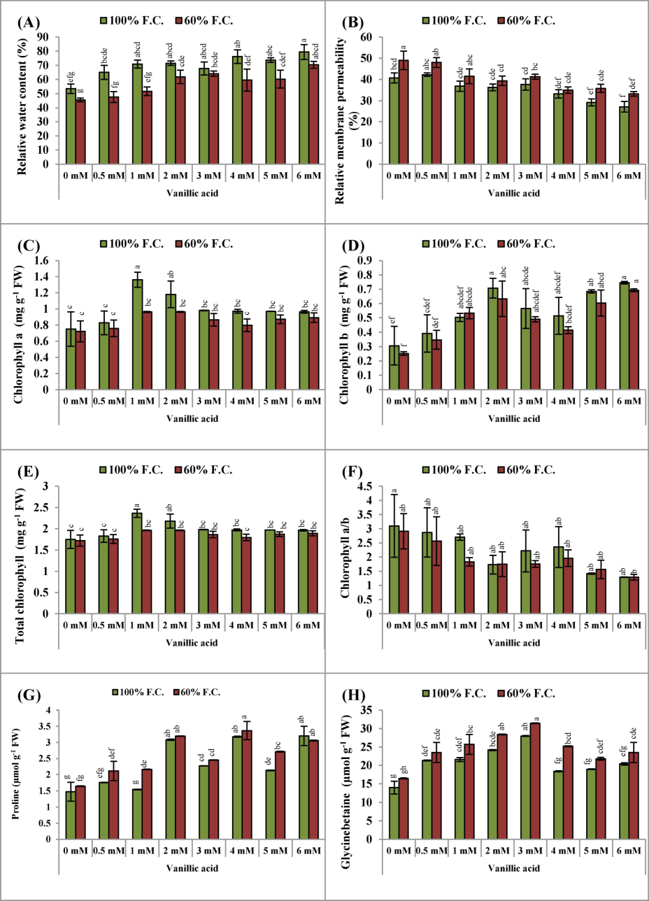 (A-H): Relative water contents, relative membrane permeability, chlorophyll pigments (a, b, total and a/b ratio), proline and glycinebetaine contents (Mean ± S.E.; n = 4) of pea (Pisum sativum L.) plants raised from seeds treated with varyings levels of vinillic acid and subjected to control (100 % field capacity) and drought stress (60 % field capacity). Different letters (a-g) showing difference among treatments.