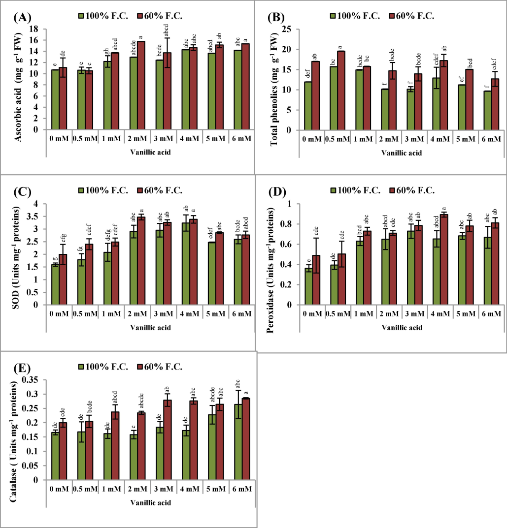 (A-E): Ascorbic acid, total phenolics as well as activities of superoxide dismutase, peroxidase and catalase enzymes (Mean ± S.E.; n = 4) of pea (Pisum sativum L.) plants raised from seeds treated with varyings levels of vinillic acid and subjected to control (100 % field capacity) and drought stress (60 % field capacity). Different letters (a-g) showing difference among treatments.