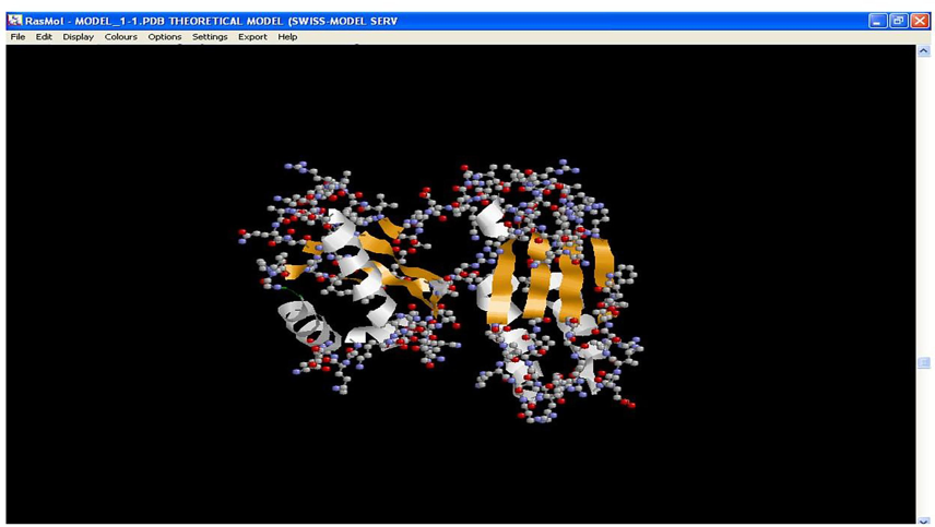 Structure of Ferredoxin present in P. aeruginosa PA01 obtained through SWISS-MODEL (Key: White – alpha helices; Orange – beta sheets; No coils found).