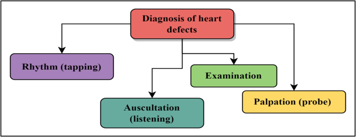 Diagnosis of heart abnormalities.