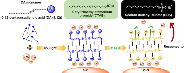 Chemical structures of DA(8,12) monomer, CTAB, and SDS. Illustration outlines preparation of PDA(8,12)/Zn2+/ZnO-CTAB sensors.