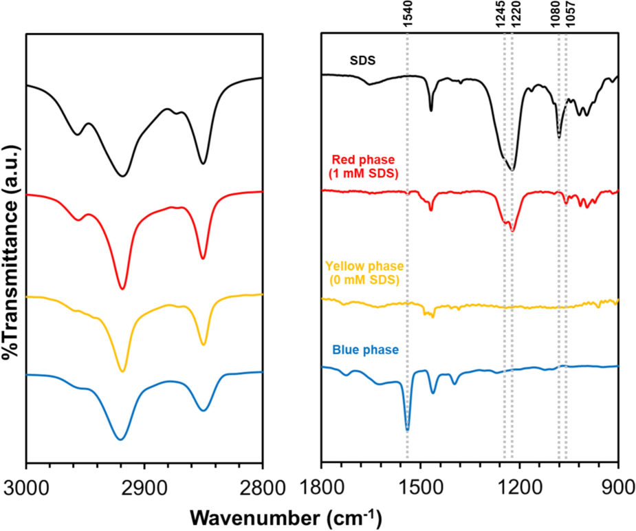 FT-IR spectra (bottom to top) of blue-phase PDA(8,12)/Zn2+/ZnO nanocomposites, yellow-phase PDA(8,12)/Zn2+/ZnO-1 mM CTAB, red-phase PDA(8,12)/Zn2+/ZnO-1 mM CTAB with addition of 1 mM SDS, and pure SDS. (For interpretation of the references to color in this figure legend, the reader is referred to the web version of this article.)