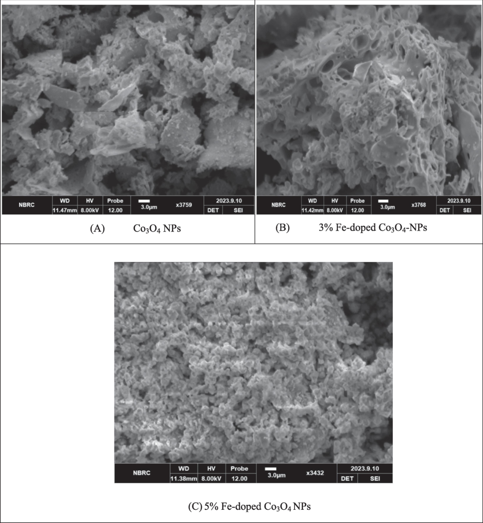 Surface morphology of Fe-doped Co3O4 NPs.