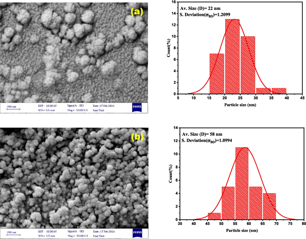 FESEM images and particle size distribution of SnO2NPs prepared by the drop-cast method as a function of the preparation time: (a) 3 min; (b) 5 min.