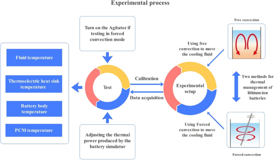 Experimental process flowchart.