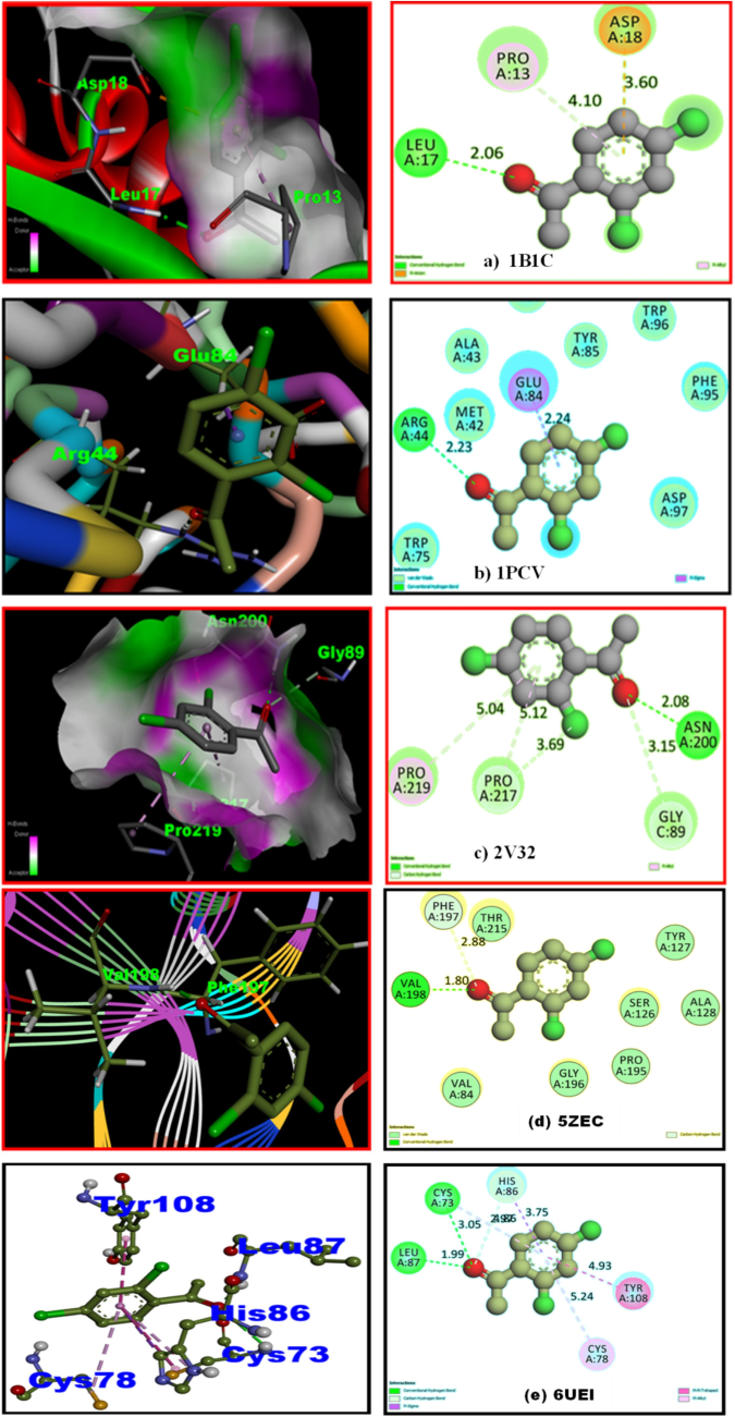 Ligand 24DCA embedded in active sites of Insuliin inhibitor (a) 1B1U, Antifungal (b) 1PCV, Antioxidant (c) 2 V32 Antiseptic (d) 5ZEC, Antiviral (e) 6UEI targeted proteins.