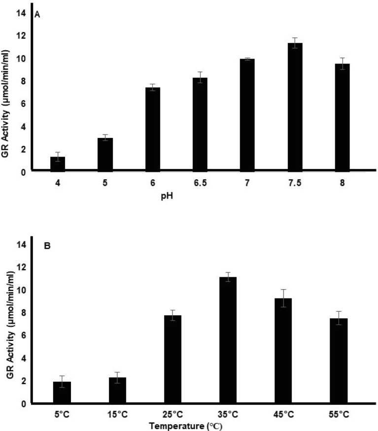 The peroxisomal isoform of glutathione reductase cloned from O. sativa, overexpressed and purified from the E. coli system. The purified protein was used for enzyme assay. The enzyme activity was measured as µmol of GSSG reduced per min per mL by the enzyme. This was measured by the change in the absorbance of NADHP at 340 nm. The activity was measured against various pH (A) and temperature (B). The X-axis shows the pH and temperature in the case of A and B respectively while the Y-axis represents the enzyme activity.