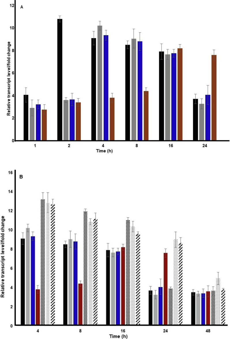 The abiotic stress treatment was given as explained in the materials and methods for the various time points. Upon the stress treatment, the samples were frozen in liquid nitrogen and RNA extraction was performed, followed by performing the real time PCR expression analysis. As endogenous control, OsActin was used. The assays were performed for a minimum of three times, ΔΔCT values were determined and fold change/relative transcript level was calculated. The X-axis shows the time points for treatment while the Y-axis shows the relative transcript level/fold change. A and B show the relative transcript level in the case of single stress treatment and multiple stress treatment respectively. The data provided is from three biological replicates and error bars (standard deviation) have been drawn. Black – salinity stress, grey – low-temperature stress, blue – high-temperature stress, maroon – dehydration stress, − “obtuse angled dashed line” − salinity + heat stress, “dotted line” − low-temperature + dehydration stress and “acute angled dashed line”- high – temperature + dehydration stress.