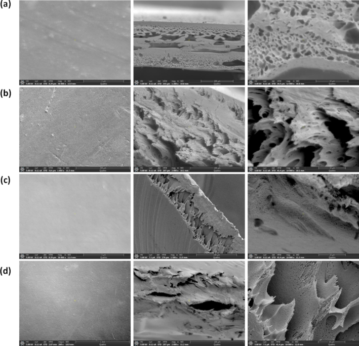 The topography (Left) and cross-sectional (Middel and Right) SEM images of (a) PS, (b) SPS, (c) PES, and (d) SPES membranes.