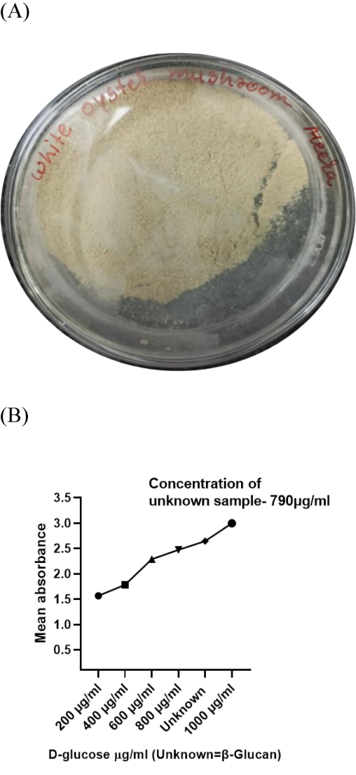 A. Pleurotus ostreatus mushroom derived β-Glucan particles as dried powders. B. Figure depicts that mean absorbance was following a trend to increase in absorbance with concentration and maximum absorbance was found at 1000 μg/ml. Concentration of unknown sample was found to be 790 μg/ml.