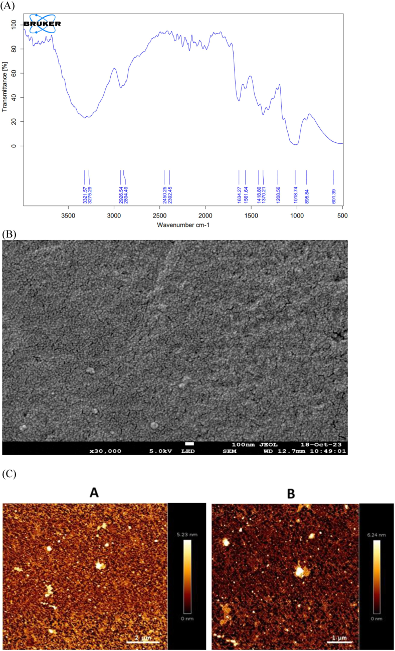 (A) Transmittance spectra of Pleurotus ostreatus mushroom derived particles confirming that the obtained spectra are of β-Glucan particles. (B) SEM image of the particles at the 100 nm resolution showed that particles having spherical morphology and porous in nature. (C) AFM imaging 2D and 3D of the prepared Pleurotus ostreatus mushroom derived β-Glucan particles as shown in figure A and B on different scale.