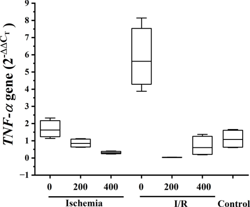 Relative expression of TNF-α gene analyzed in the ovary.