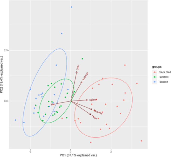 Distribution of iron levels in cattle organs and tissues (compiled by the authors).