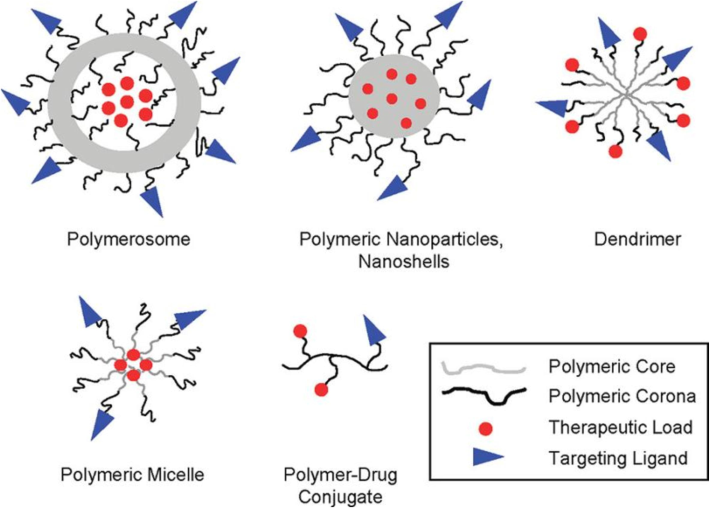 The utilization of nanoparticles as drug delivery platforms. The defining characteristics of polymeric nanoparticle platforms, including polymersomes, solid polymeric nanoparticles, nanoshells, dendrimers, polymeric micelles, and polymer-drug conjugates, are their physicochemical structures (Alexis et al., 2008).