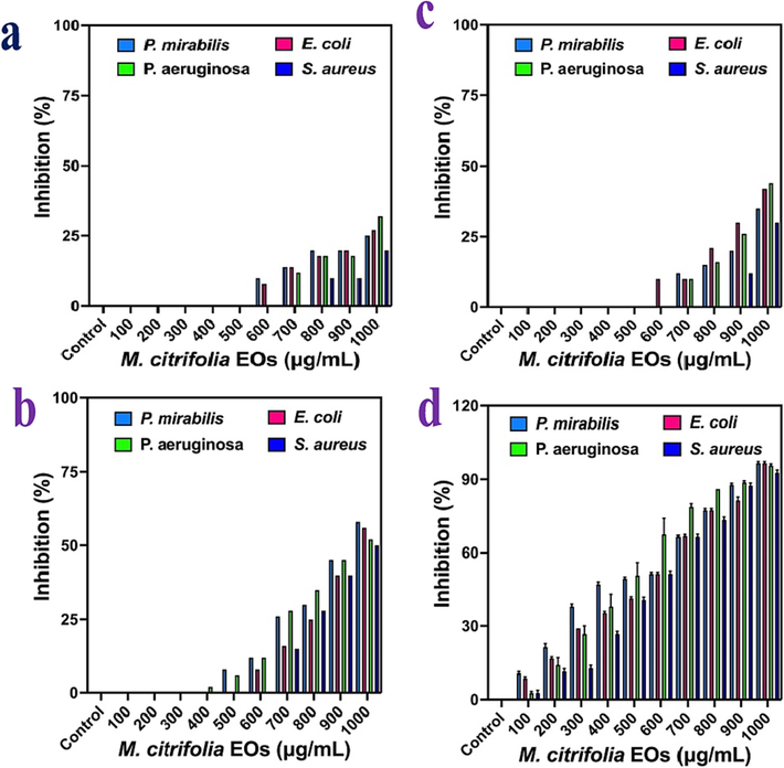 Concentration and time-dependent inhibition of M. citrofolia EOs against all the MDRs bacteria at 6 h (a), 12 (b), 18 h (c) and 24 h (d) by UV-spectroscopy.