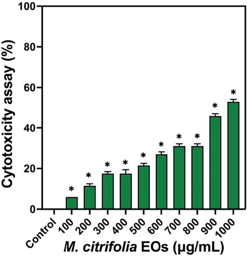 Cytotoxicity effect of M. citrofolia EOs against A549 lung cancer cells by MTT assay.