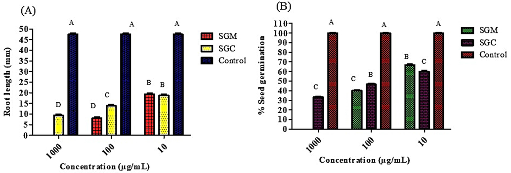 Phytotoxic effect and % germination of radish seeds of methanol and chloroform extracts of P. afra at various dilutions, (A) Phytotoxic effect, (B) percentage germination.