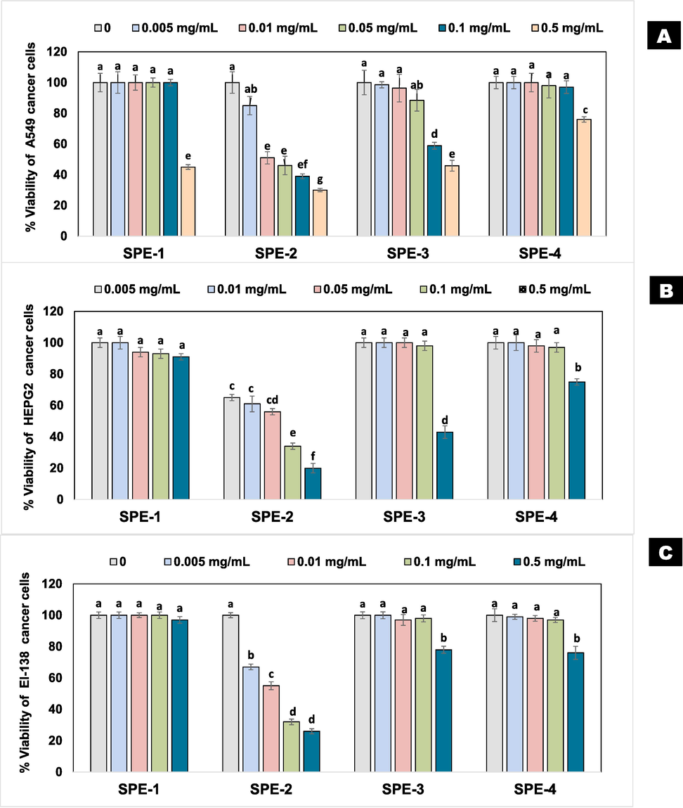 Cytotoxic activity of Sorbaria tomentosa EtOAc (SPE) fractions against human cancer cell lines lung A-549 (A), hepatocellular HepG2 (B), and urinary bladder EI-138 (C). Error bars indicate standard errors of the mean of three replicates. Values with different letters show significant difference (P ≤ 0.05) as determined by LSD-test.