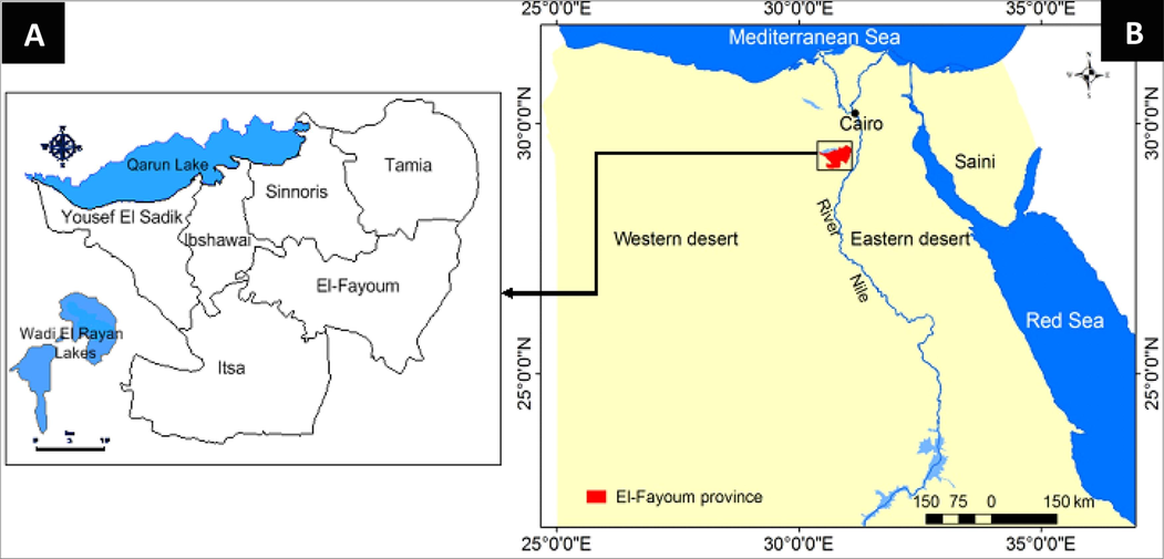 A map showing El-Fayoum Governorate and its administrative districts (A) and its location in Egypt (B).