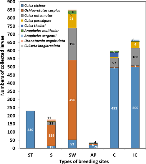 Number of mosquito larvae collected from different habitat types throughout El-Fayoum Governorate. ST: Sewage tank; S: swamps; SW: stagnant water; AP: agricultural puddles; C: canals; IC: irrigation canals.