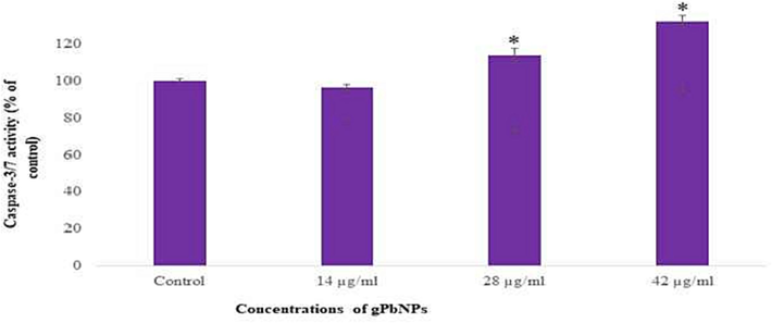 Caspase-3/7 activity in the Caco2 cell line after exposure of gPbNPs. Each value represents the mean ±SE of three experiments * p ≤ 0.05 versus control.