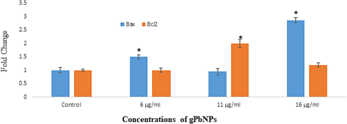 Mrna levels of Bax and Bcl2 in Caco2 cell line after exposure to different concentration of gPbNPs for 24 h. * p ≤ 0.05 versus control.